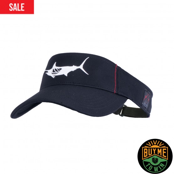 Blue Marlin Flybridge Visor